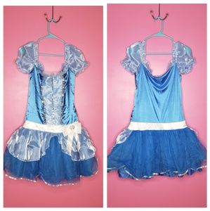 Disney Cinderella Halloween Costume